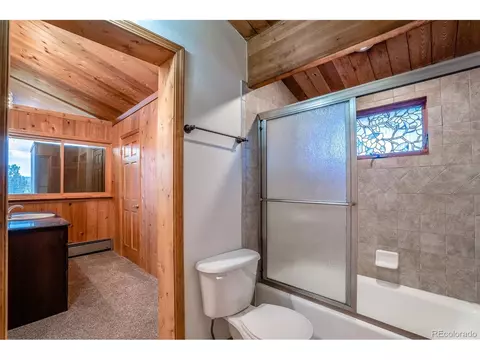 3151 Blue Mesa Dr, Divide, CO 80814 photo 23