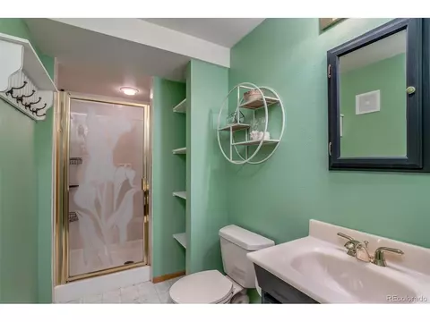 3151 Blue Mesa Dr, Divide, CO 80814 photo 28