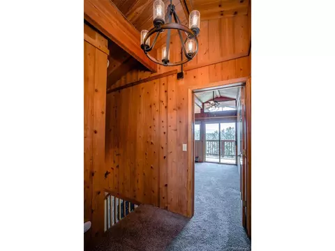 3151 Blue Mesa Dr, Divide, CO 80814 photo 17