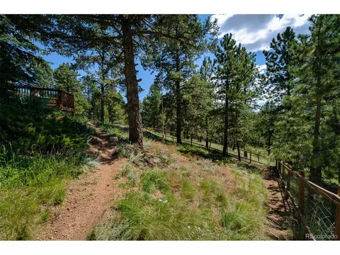 3151 Blue Mesa Dr, Divide, CO 80814 photo 37