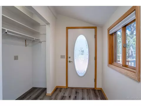 3151 Blue Mesa Dr, Divide, CO 80814 photo 4