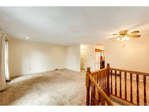 4445 S Braun Way, Morrison, CO 80465 photo 4