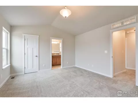 6937 Grassy Range Dr, Wellington, CO 80549 photo 10