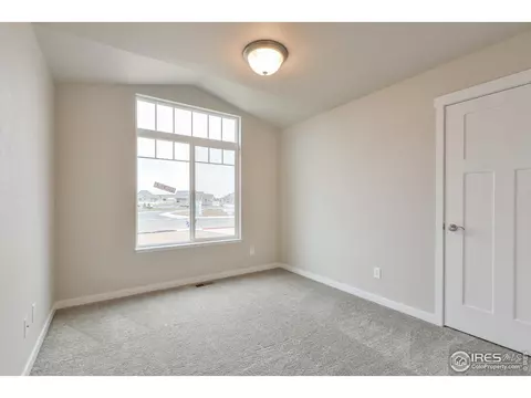 6937 Grassy Range Dr, Wellington, CO 80549 photo 15
