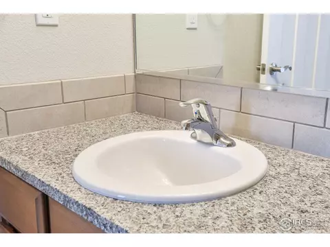 6937 Grassy Range Dr, Wellington, CO 80549 photo 18