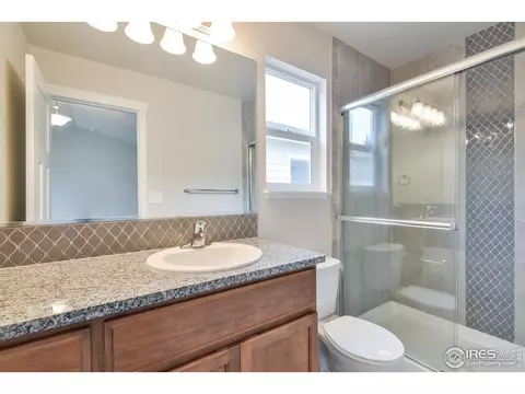 6937 Grassy Range Dr, Wellington, CO 80549 photo 16