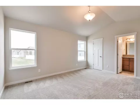 6937 Grassy Range Dr, Wellington, CO 80549 photo 11