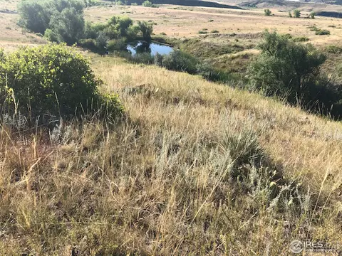 1615 S County Road 27, Berthoud, CO 80513 photo 36