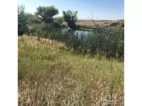 1615 S County Road 27, Berthoud, CO 80513 photo 39