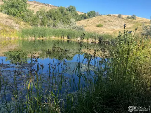 1615 S County Road 27, Berthoud, CO 80513 photo 2