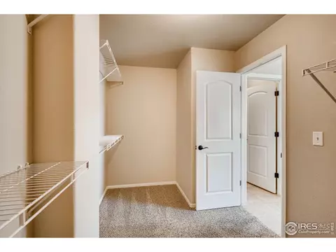 239 Castle Dr, Severance, CO 80550 photo 20