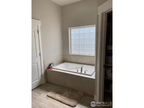 1527 Sandy Ln, Windsor, CO 80550 photo 11