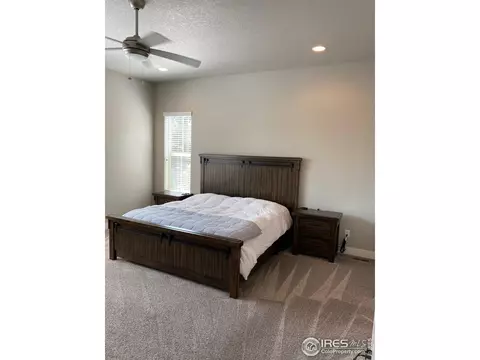 1527 Sandy Ln, Windsor, CO 80550 photo 28