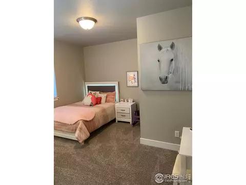 1527 Sandy Ln, Windsor, CO 80550 photo 19