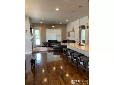 1527 Sandy Ln, Windsor, CO 80550 photo 8