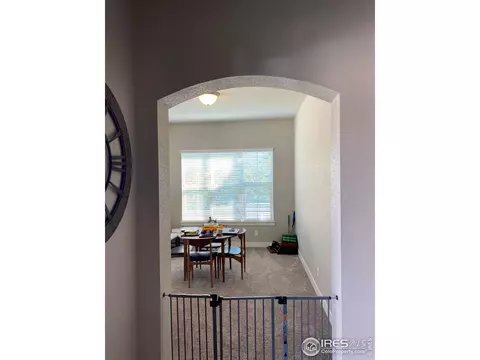 1527 Sandy Ln, Windsor, CO 80550 photo 9