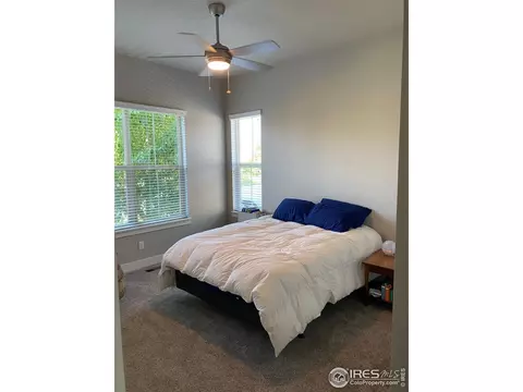 1527 Sandy Ln, Windsor, CO 80550 photo 14