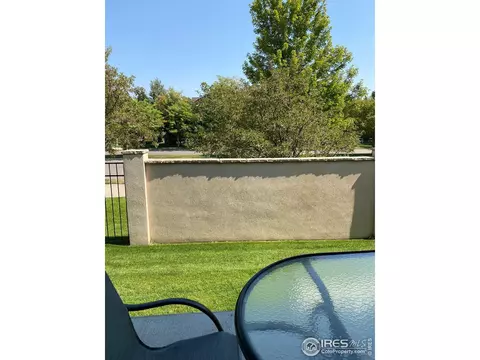 1527 Sandy Ln, Windsor, CO 80550 photo 26