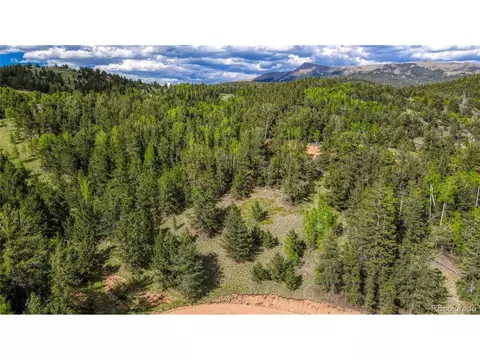 433 Brown Bear Dr, Cripple Creek, CO 80813