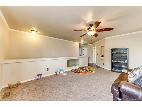 19006 E 51st Pl, Denver, CO 80249 photo 20