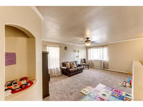 19006 E 51st Pl, Denver, CO 80249 photo 19
