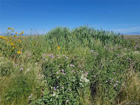 Undisclosed, Hooper, CO 81136 photo 5