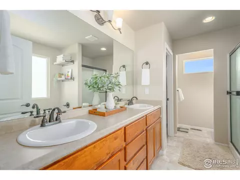 919 Mt Shavano Ave, Severance, CO 80550 photo 17