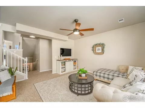 919 Mt Shavano Ave, Severance, CO 80550 photo 12