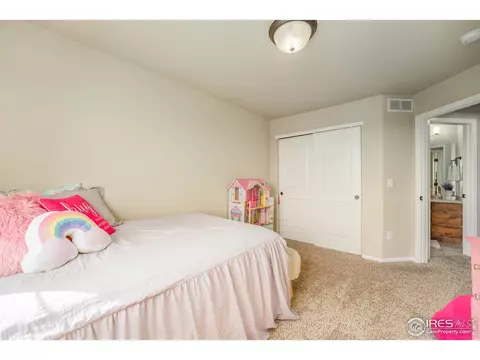 919 Mt Shavano Ave, Severance, CO 80550 photo 15