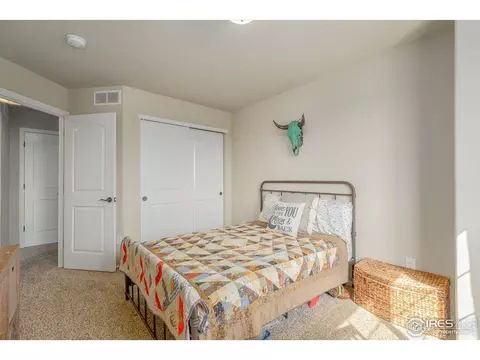 919 Mt Shavano Ave, Severance, CO 80550 photo 16