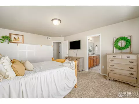 919 Mt Shavano Ave, Severance, CO 80550 photo 19