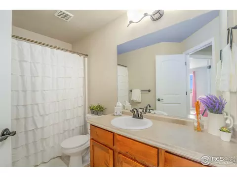 919 Mt Shavano Ave, Severance, CO 80550 photo 14