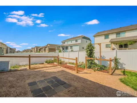 919 Mt Shavano Ave, Severance, CO 80550 photo 4