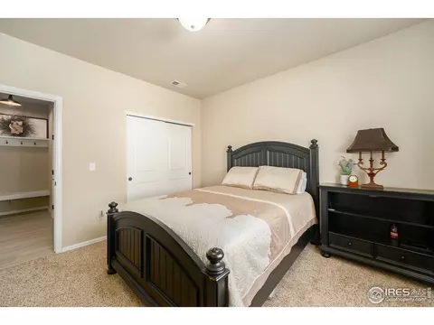919 Mt Shavano Ave, Severance, CO 80550 photo 10
