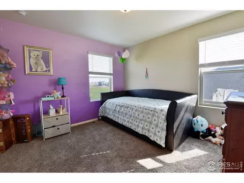 331 Central Ave, Severance, CO 80550 photo 25
