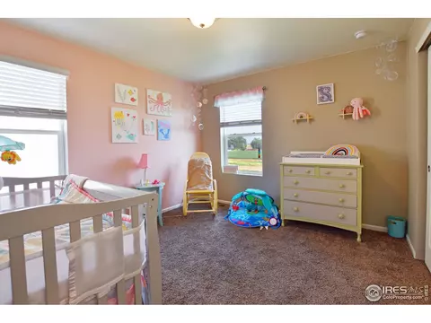 331 Central Ave, Severance, CO 80550 photo 27