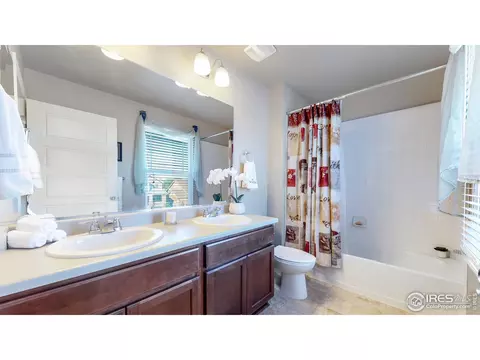 2282 Stonefish Dr, Windsor, CO 80550 photo 21