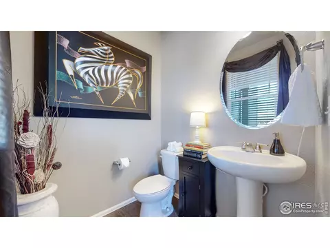 2282 Stonefish Dr, Windsor, CO 80550 photo 14