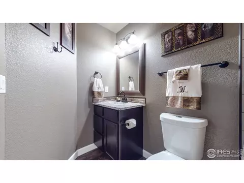 2282 Stonefish Dr, Windsor, CO 80550 photo 29