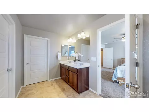 2282 Stonefish Dr, Windsor, CO 80550 photo 18
