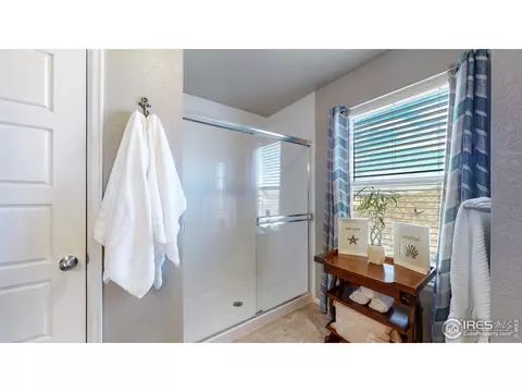 2282 Stonefish Dr, Windsor, CO 80550 photo 17