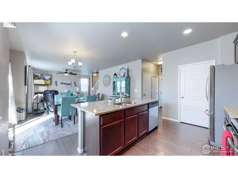 2282 Stonefish Dr, Windsor, CO 80550 photo 13