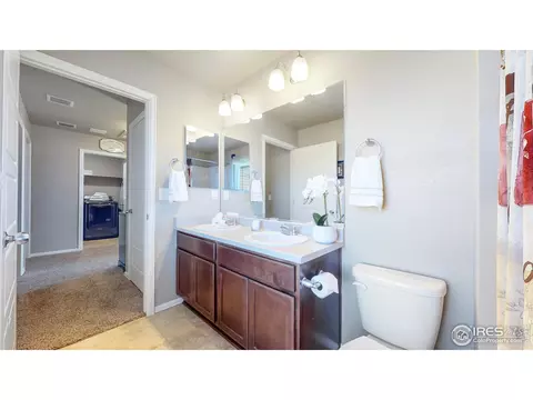2282 Stonefish Dr, Windsor, CO 80550 photo 20