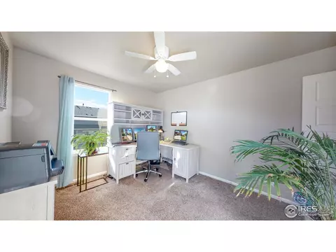 2282 Stonefish Dr, Windsor, CO 80550 photo 23