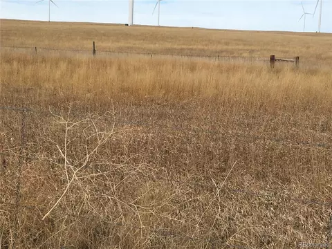 Berridge Rd, Ramah, CO 80832 photo 15