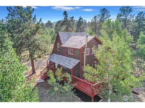 129 Snow Water Rd, Bailey, CO 80421 photo 27
