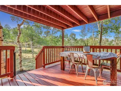 129 Snow Water Rd, Bailey, CO 80421 photo 12