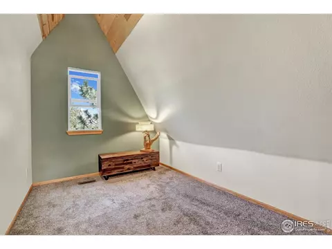 129 Snow Water Rd, Bailey, CO 80421 photo 15