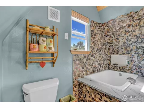 129 Snow Water Rd, Bailey, CO 80421 photo 19