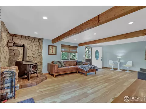 129 Snow Water Rd, Bailey, CO 80421 photo 3